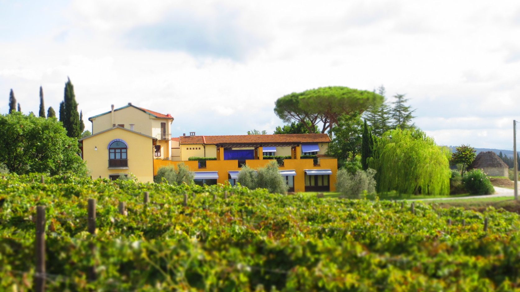 Azienda Agricola Bulichella