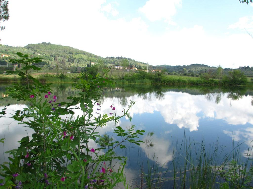 Azienda Agricola Bulichella