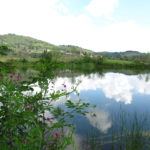 Azienda Agricola Bulichella