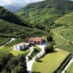 WINERY