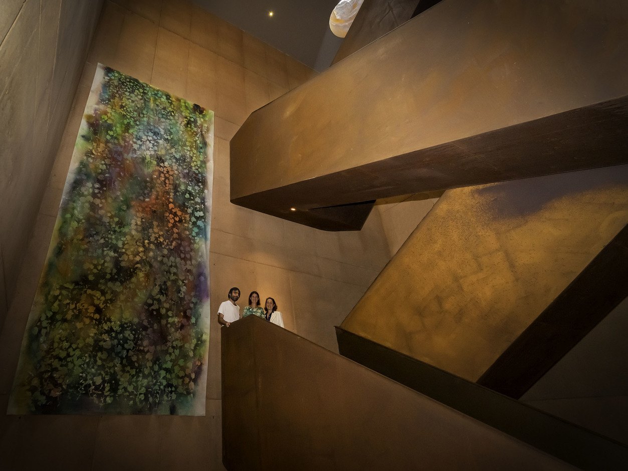 Antinori Sam Falls