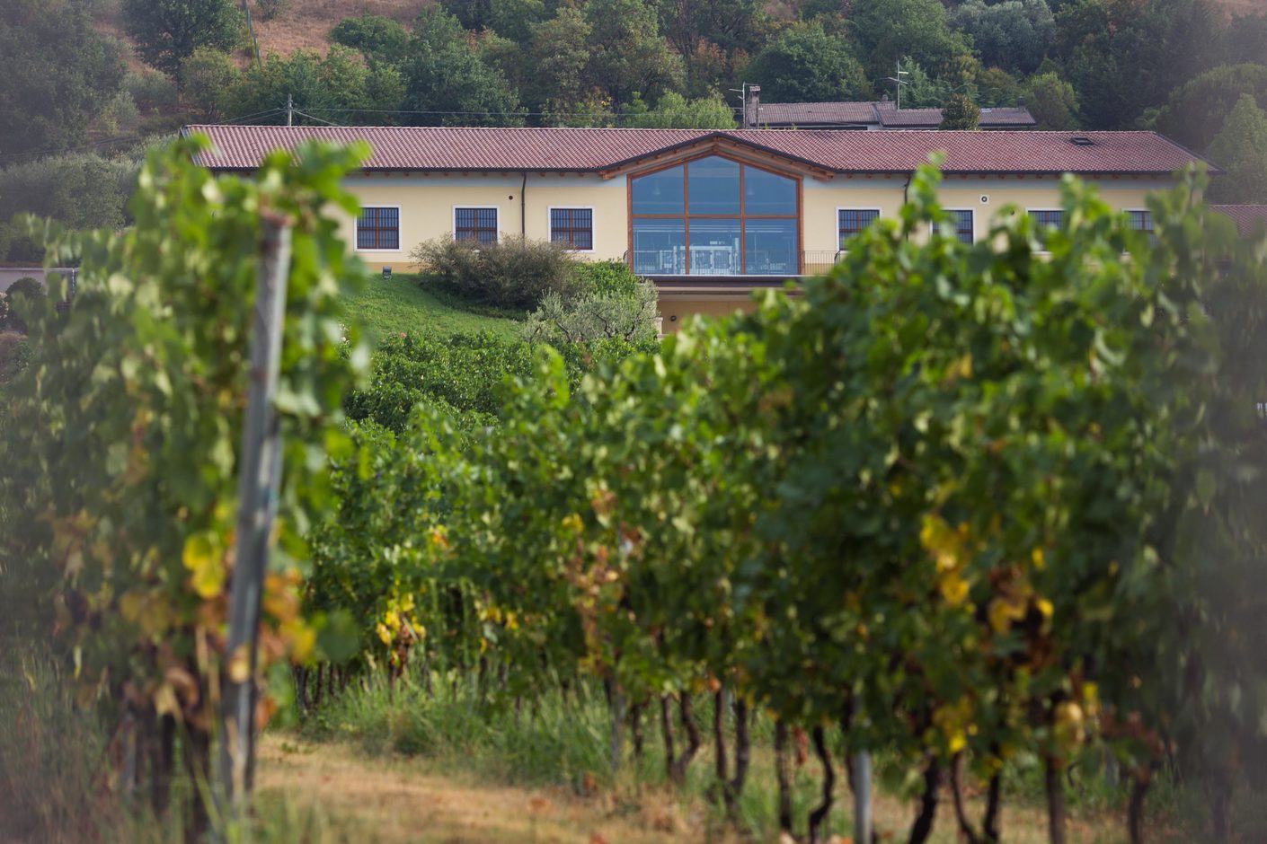 Cantina-di-Caprino
