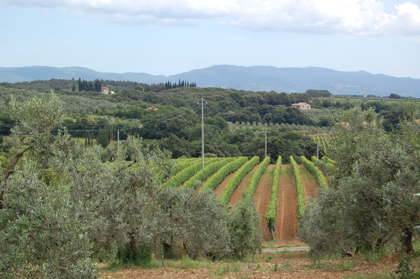 Caprareccia