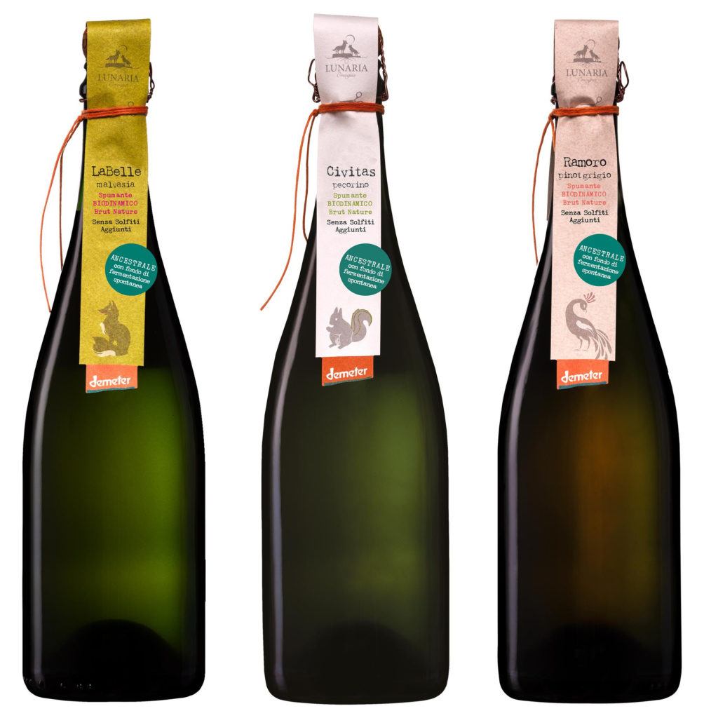 Cantina Orsogna 1964 bollicine Green di Malvasia, Pecorino e Pinot Grigio