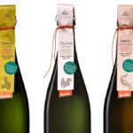 Cantina Orsogna 1964 bollicine Green di Malvasia, Pecorino e Pinot Grigio