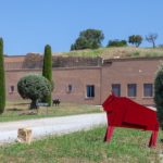 Bruno Pellegrino a Monteverro