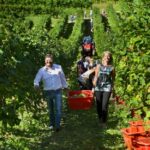 Ernesto Balbinot e Silvana Ceschin (titolari Le Manzane)