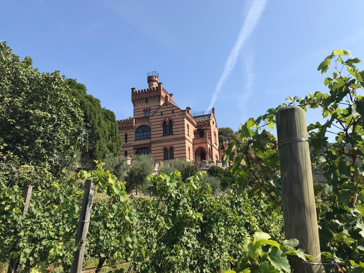 Castello Bonomi