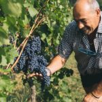 Italo Danielli_Pres. Consorzio OVADA DOCG