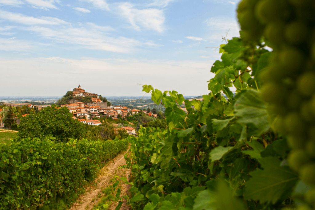 Cantine Volpi