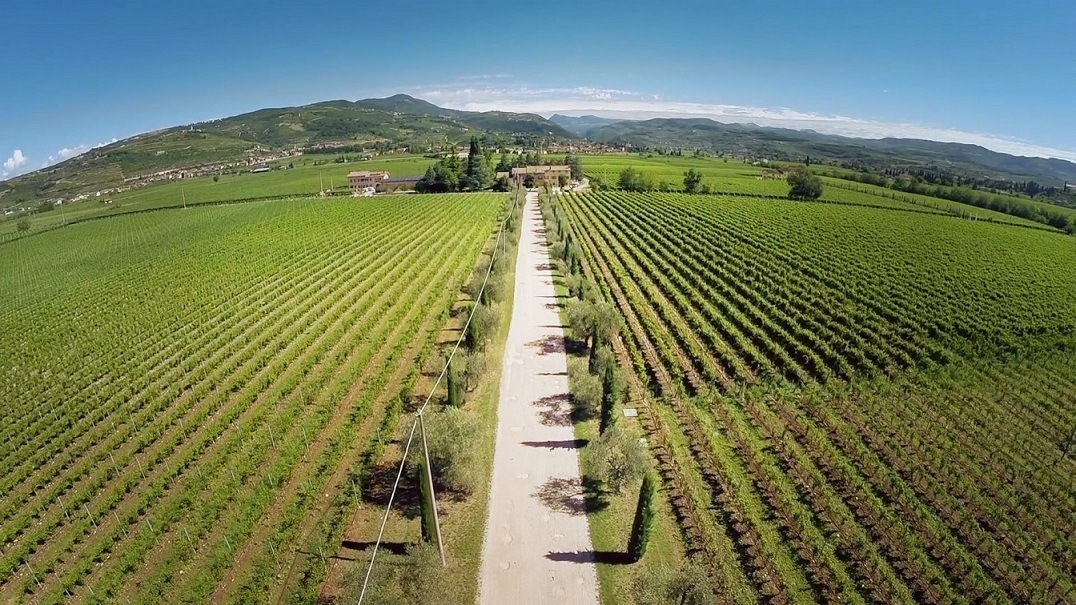 Vigneti Buglioni