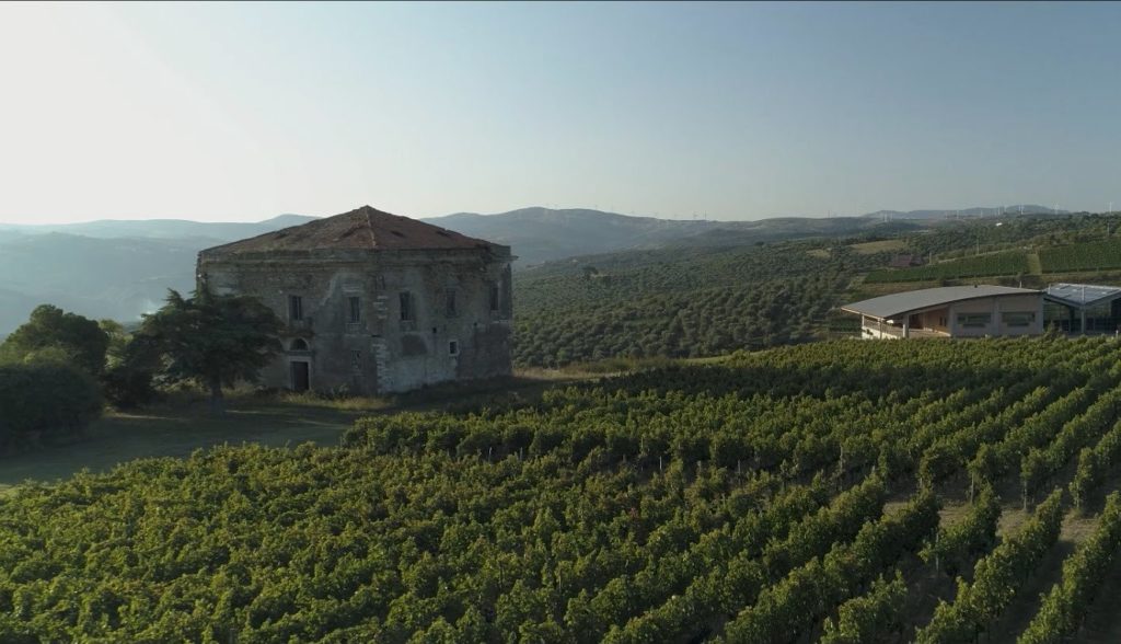 Tommasi a Paternoster day Tommasi Family Estates