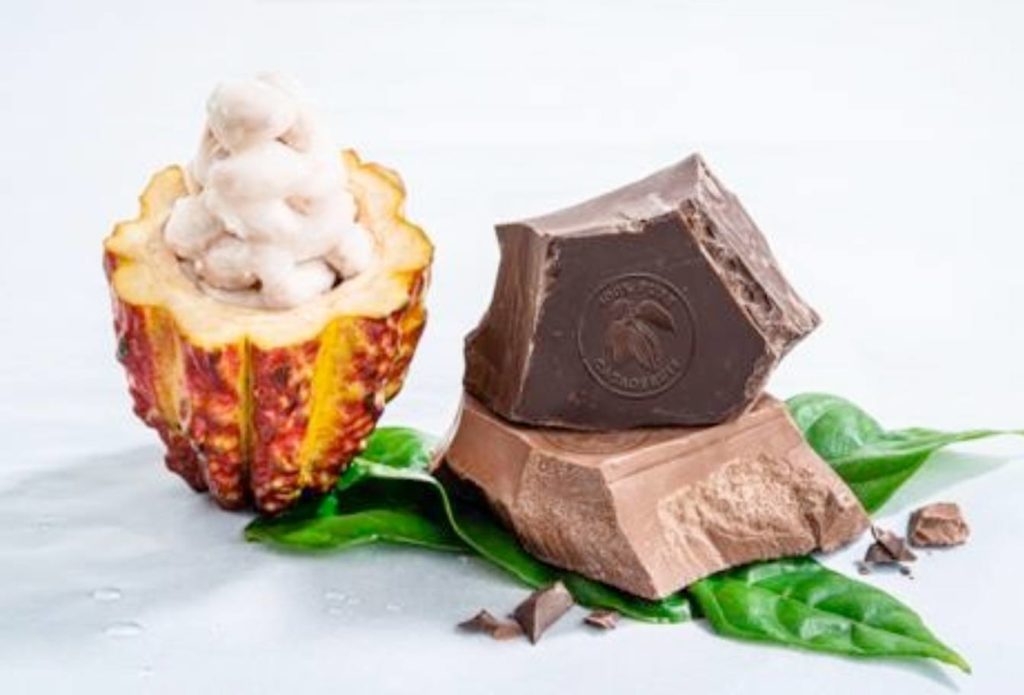 wholefruit chocolate
