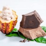 wholefruit chocolate