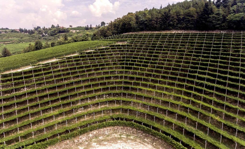 Tedeschi ricerca e sperimentazione
