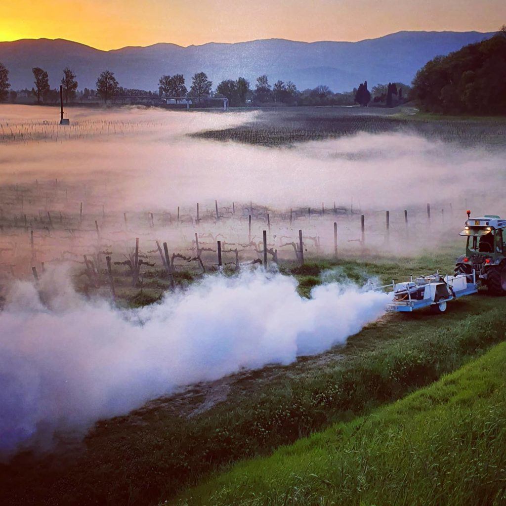 Arnaldo Caprai prima ventola antibrina