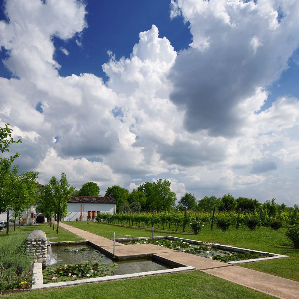 Bottega la ripresa nel segno della sostenibilità