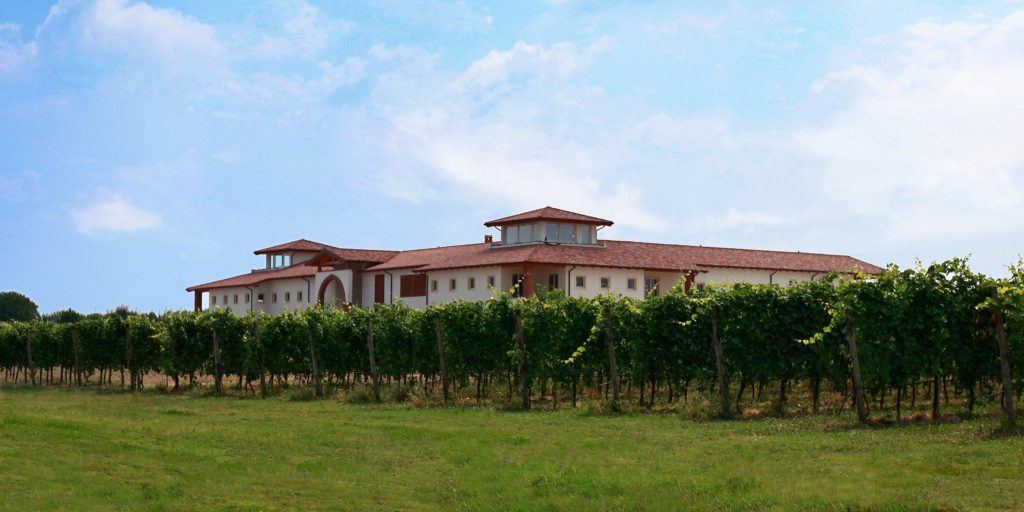 Le Morette solidarietà in vigna