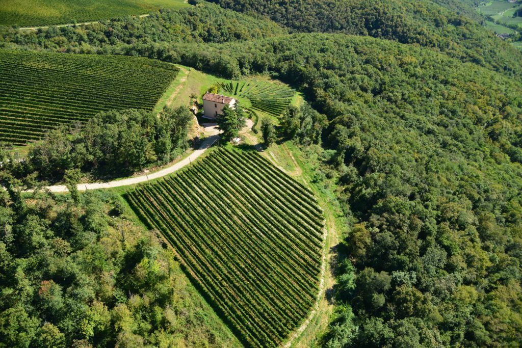 Monte Zovo riparte con visite e degustazioni