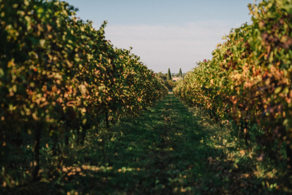 Acetaia di Canossa il gusto dell’estate