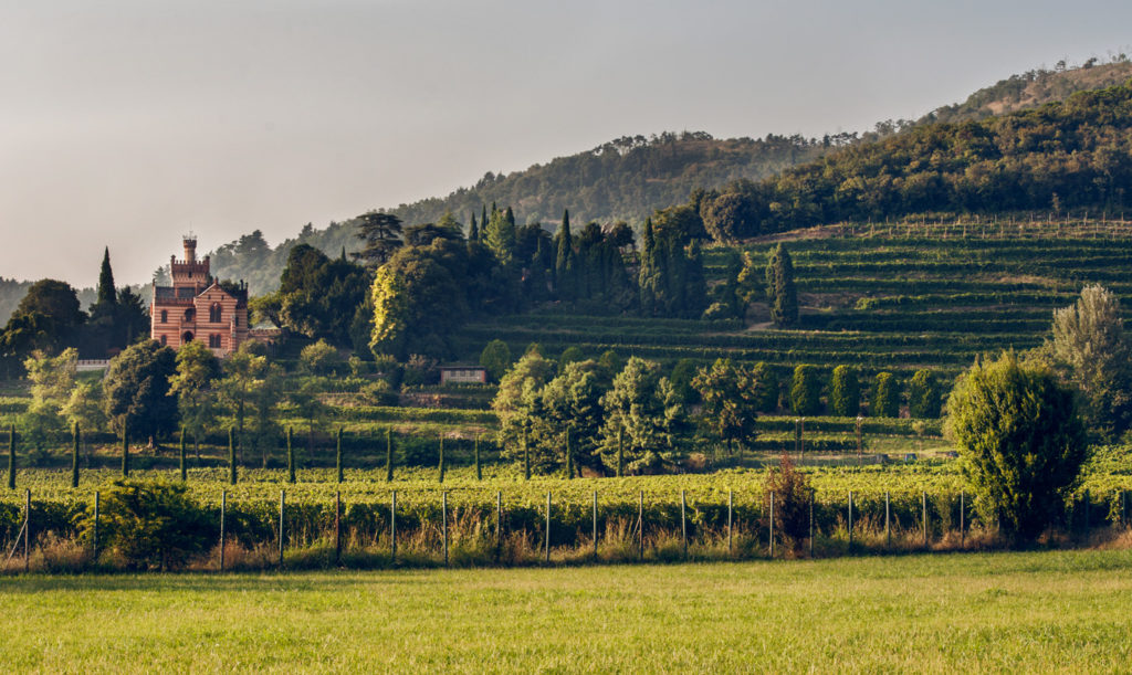 Le Tre Riserve di Castello Bonomi
