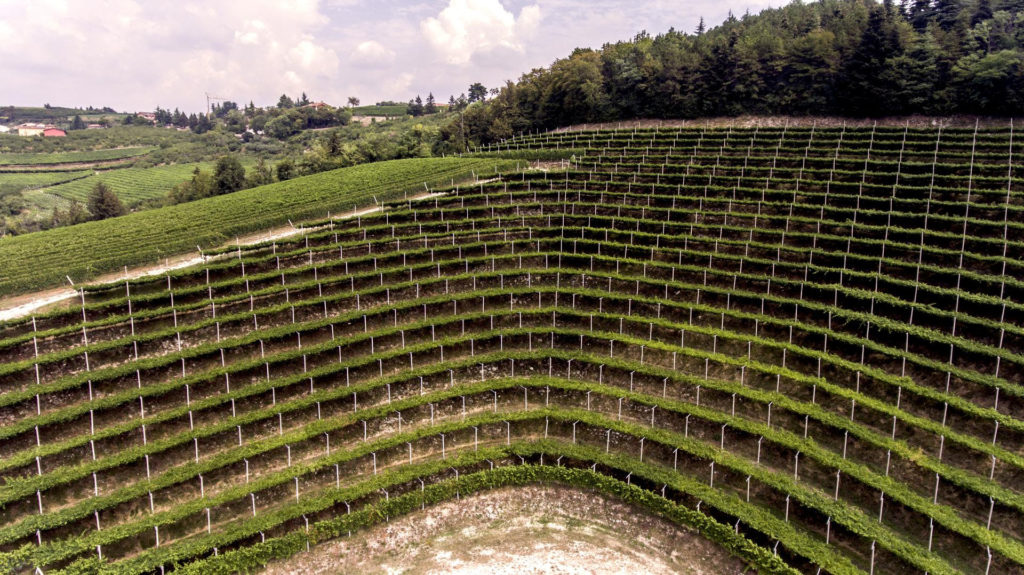 Vendemmia 2020 per Tedeschi