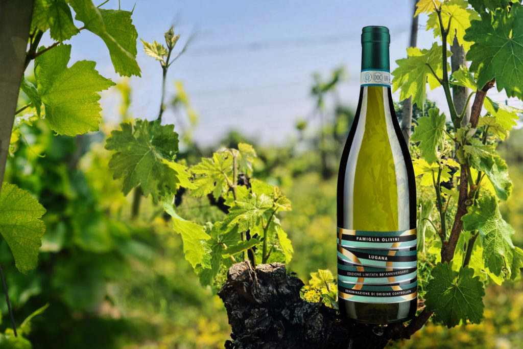 Cinquant’anni di Famiglia Olivini