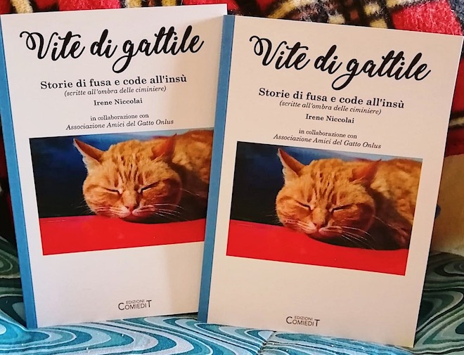 Vite di gattile