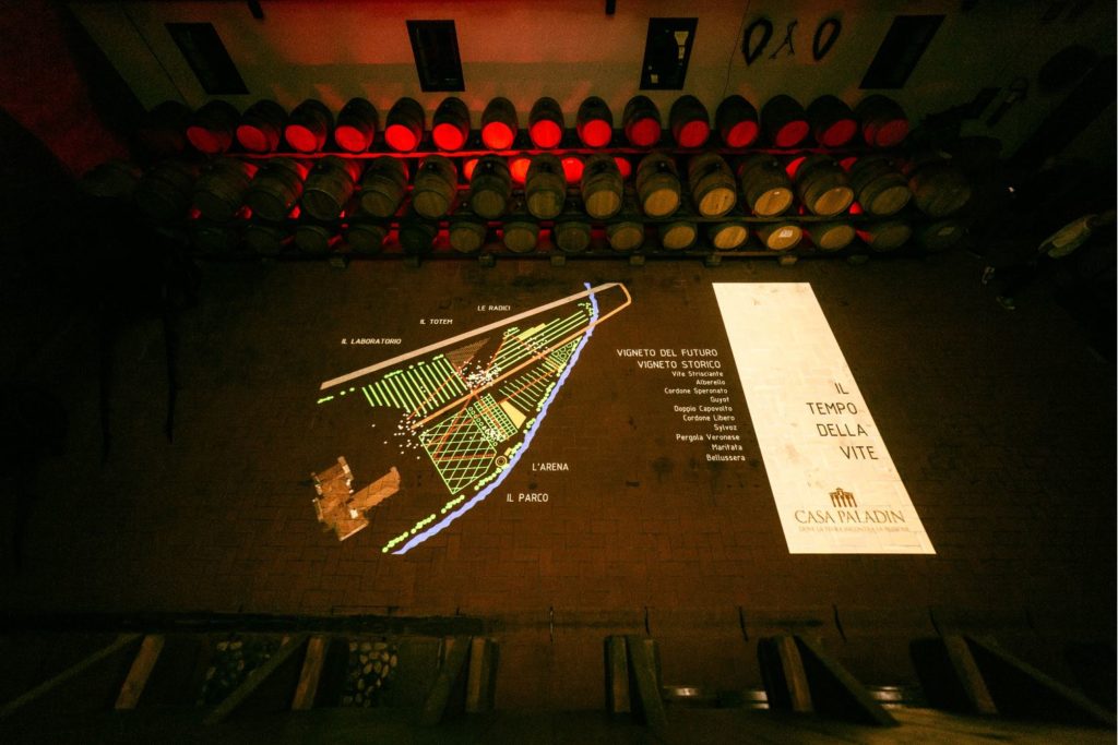 Il Tempo della Vite di Casa Paladin