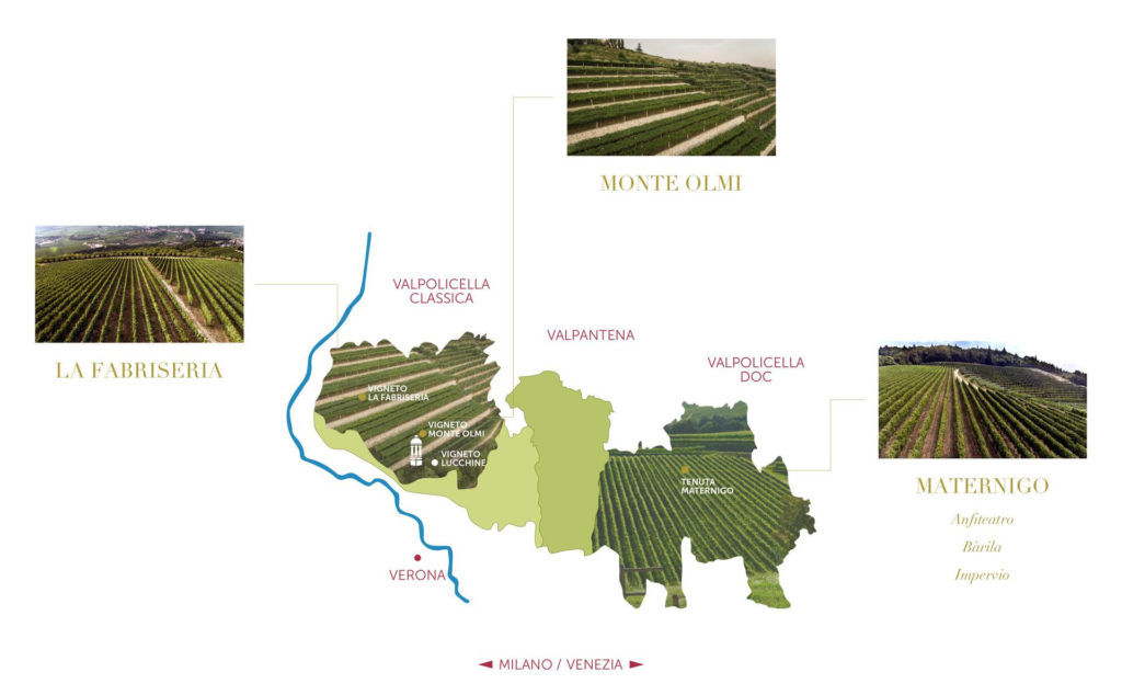 Tedeschi e i caratteri aromatici delle uve