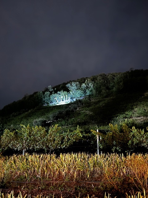 Villa Franciacorta