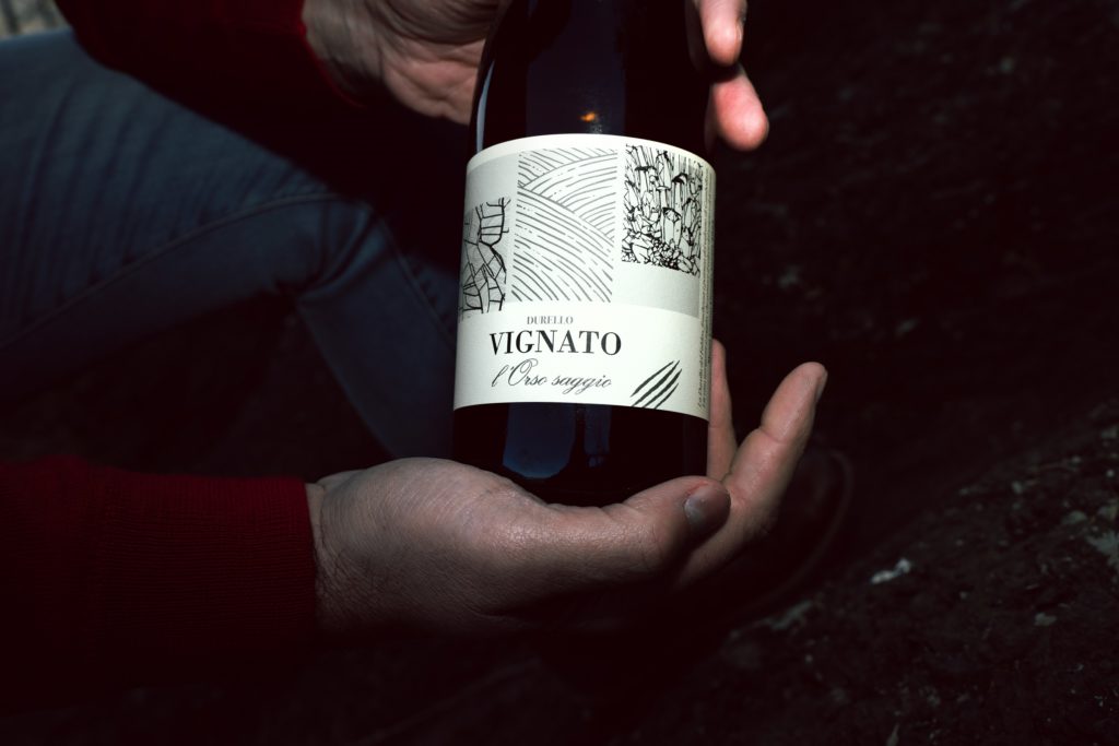 L’Orso gentile della cantina Davide Vignato