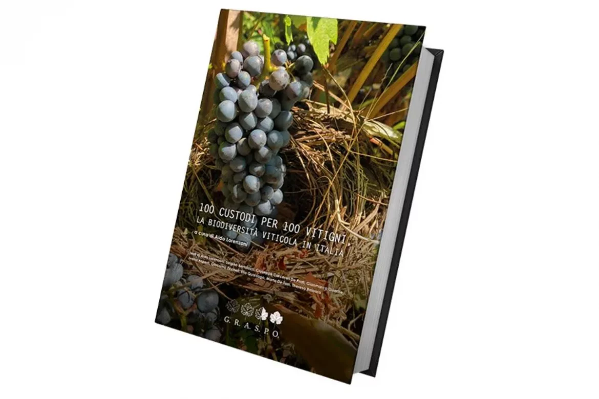 Ai 100 CUSTODI di GRASPO l’Award 2025 OIV