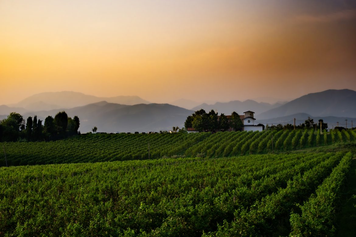 Cascina San Michele isola del Marzemino