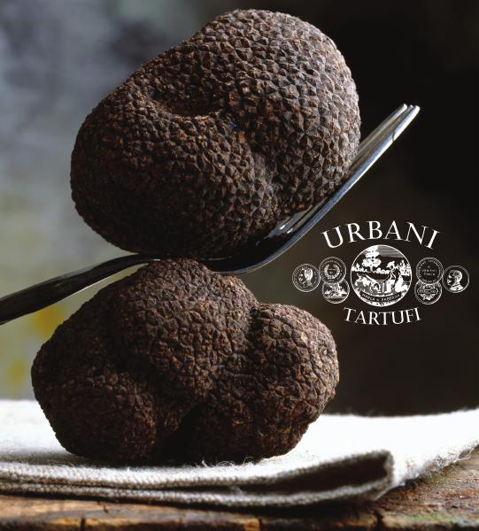 Urbani Tartufi apre a Milano