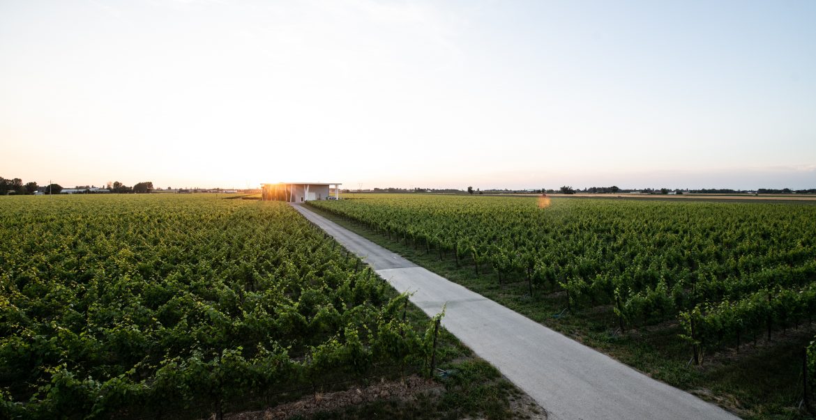 Ventiventi, tre fratelli, tre visioni