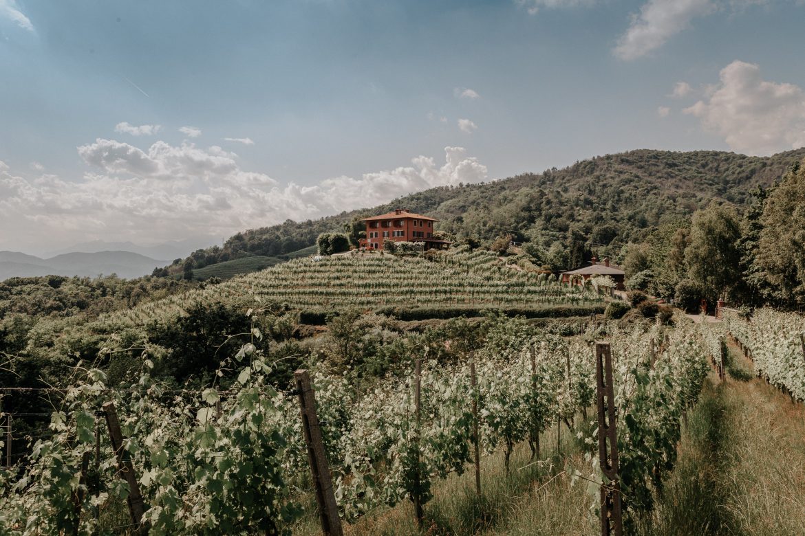 Taste Alto Piemonte a Marzo a Milano