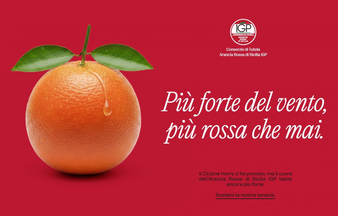 Consorzio di Tutela dell’Arancia Rossa a sostegno dei danni del ciclone Harry