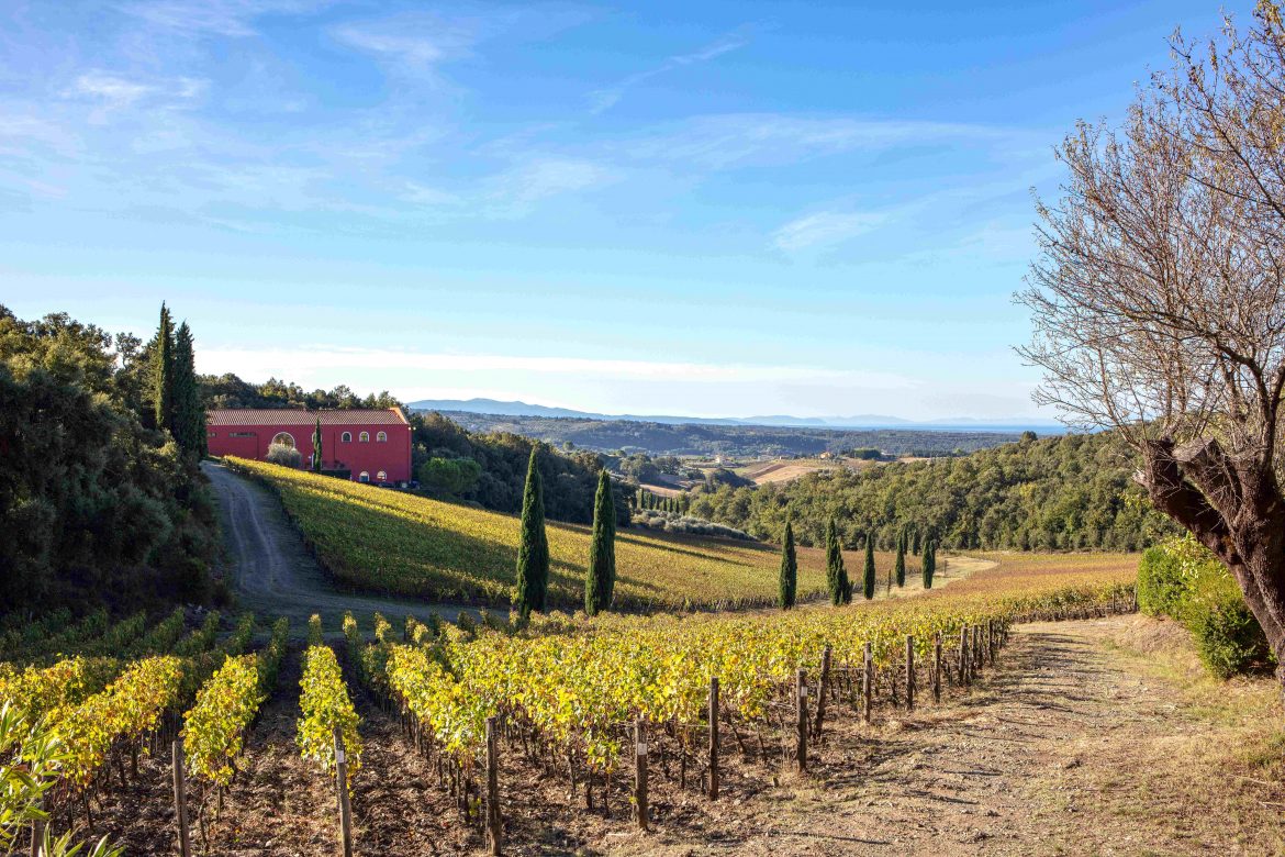 Le nuove annate di Caiarossa