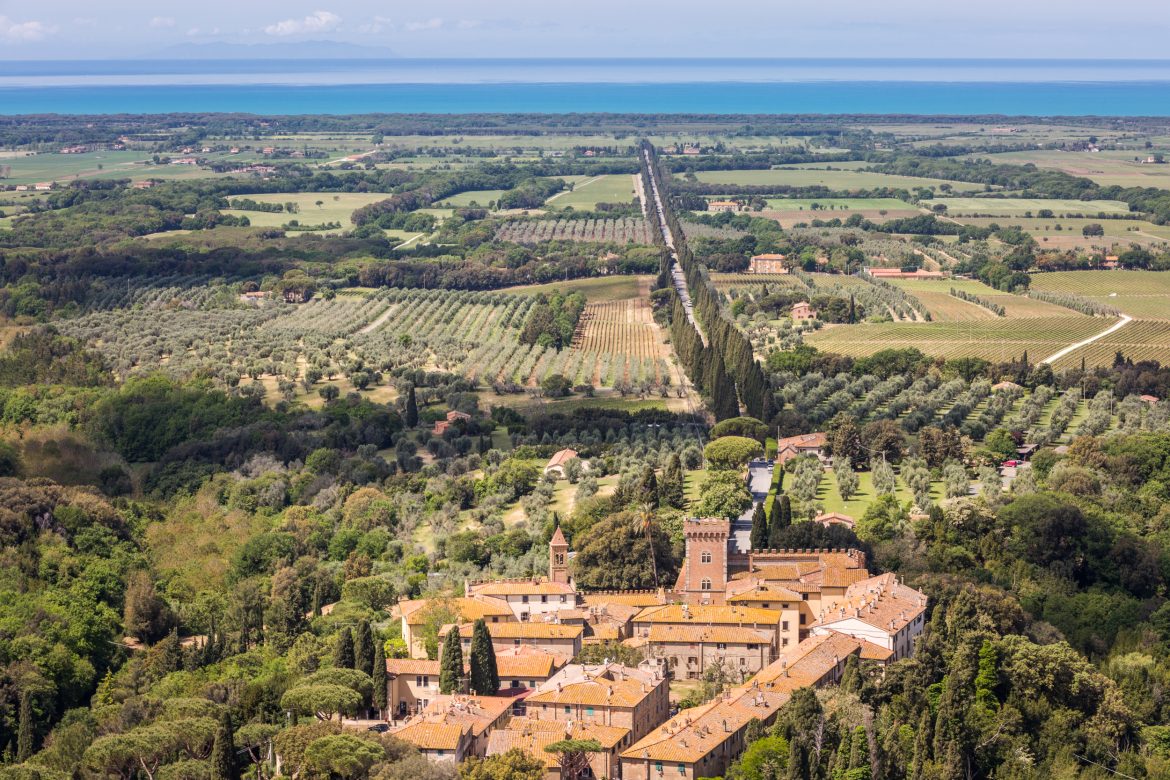 Bolgheri il Consorzio scrive al Ministro Gilberto Pichetto Fratin