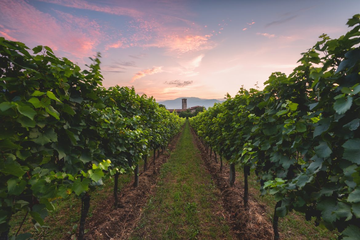 Festival Franciacorta in Cantina 2026