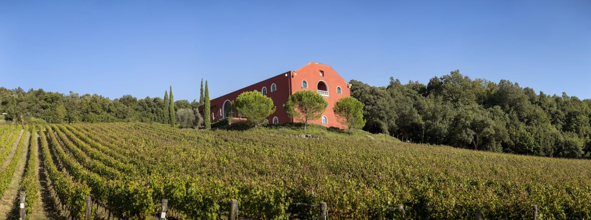 Caiarossa protagonista a RipaWine 2026
