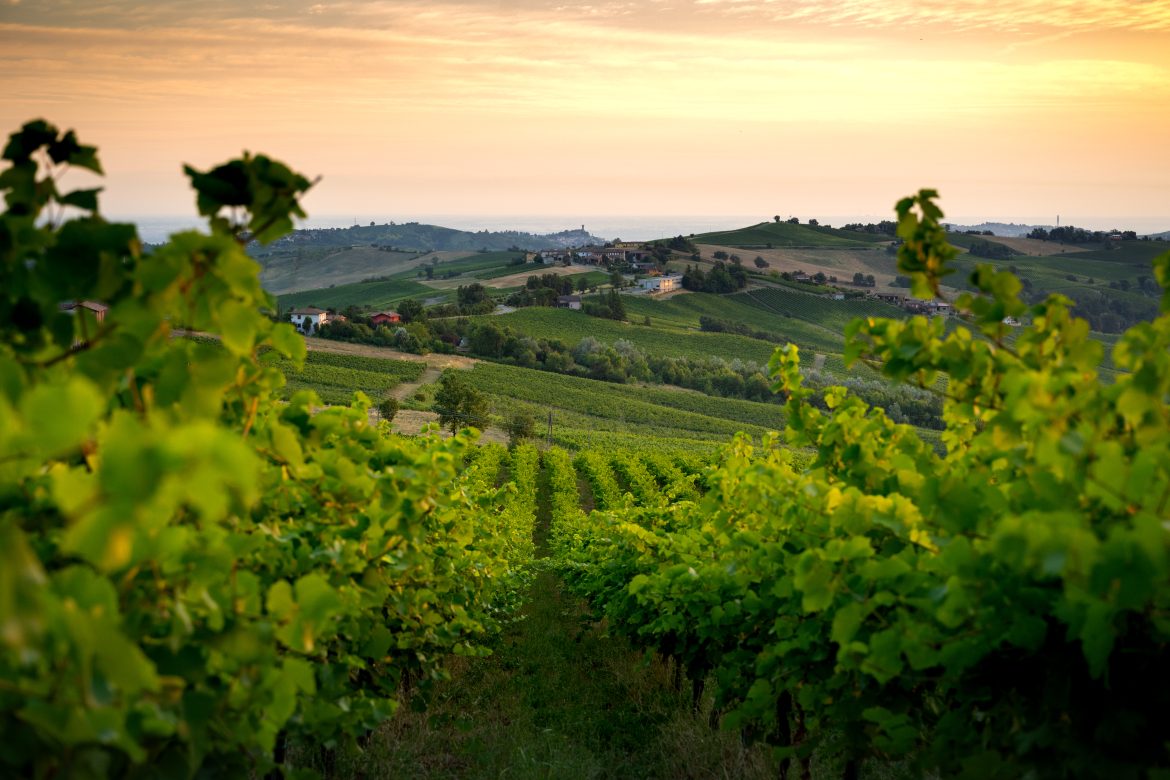 Sesta edizione di “Oltregusto – Oltrepò Terra di Pinot Nero”