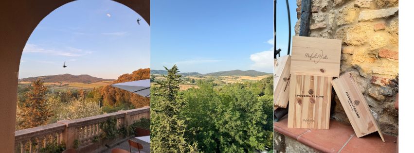 Punti di Vista e i tre punti di Vista di Marlisa Allegrini