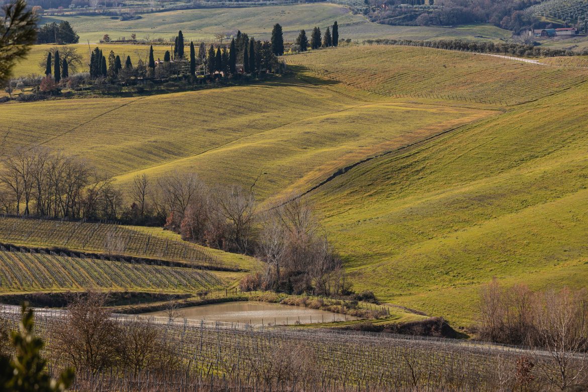 A Cantina Talosa riemerge un mare di cinque milioni di anni fa