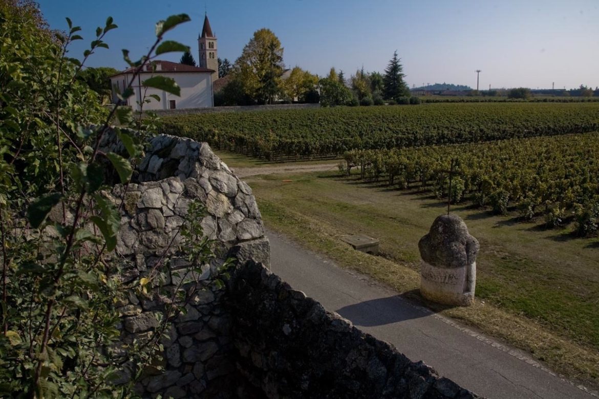 Lepiga, il Soave DOC di Tenuta Santa Maria