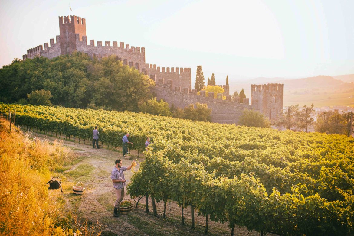 Appuntamento Soave: l’evoluzione del presente