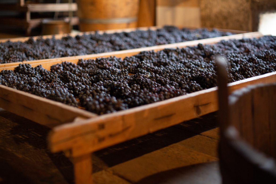 Consorzio Vini Venezia: il Raboso protagonista a Rosso Autoctono