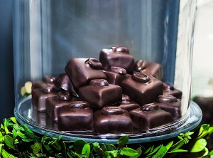 3_ODILLA CHOCOLAT    