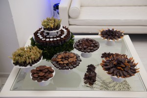 4_odilla_chocolat    